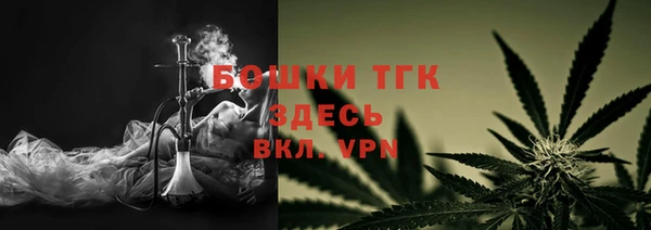 Альфа ПВП Горняк