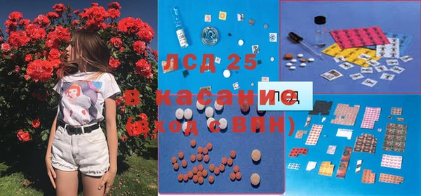 крисы Горнозаводск