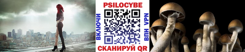 Галлюциногенные грибы мухоморы  Купить  Гусь-Хрустальный 