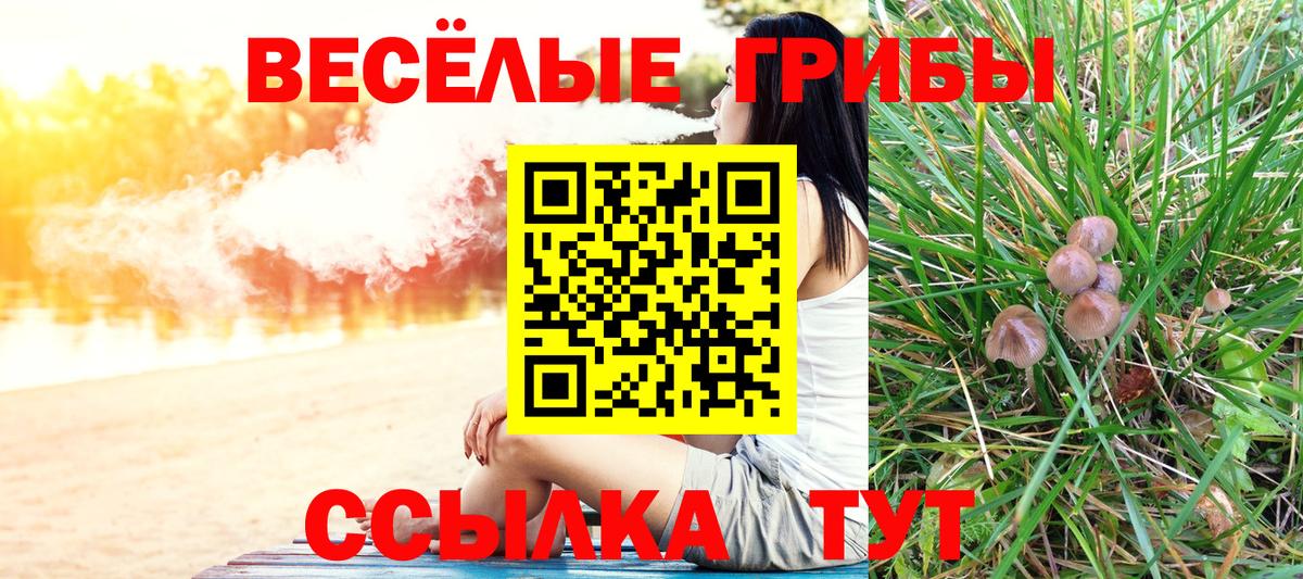 Псилоцибиновые грибы GOLDEN TEACHER Гусь-Хрустальный