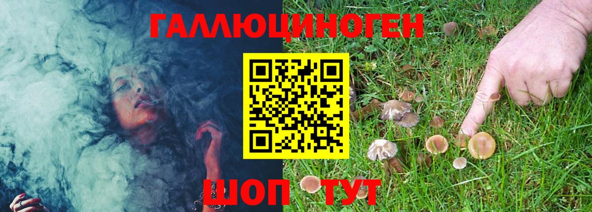 Псилоцибиновые грибы Psilocybe Гусь-Хрустальный